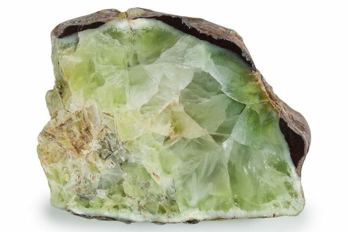 Wide Polished Prehnite Section - Australia #353729